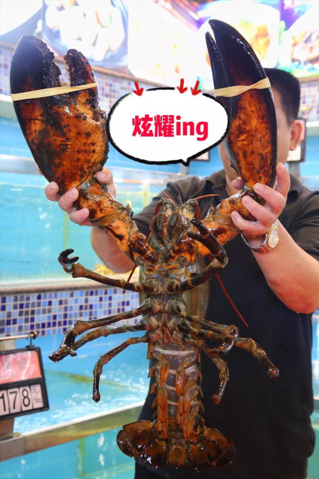 13斤の千元"巨型龙虾"壕做一桌菜!这家36岁的厦门老牌