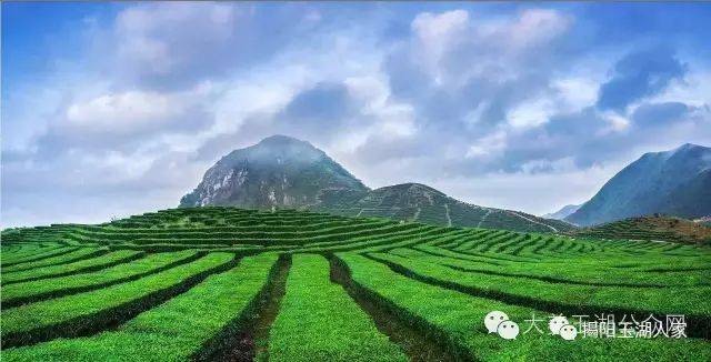 玉湖镇坪上茶圆