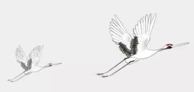 什么仙鹤成语_仙鹤简笔画(2)