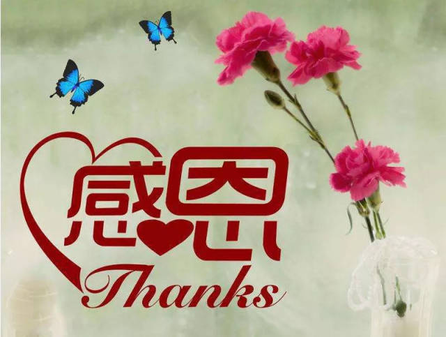 如何表达感恩感谢感激 e80a5c0e0981463ea5ec9f894266f12e.jpeg