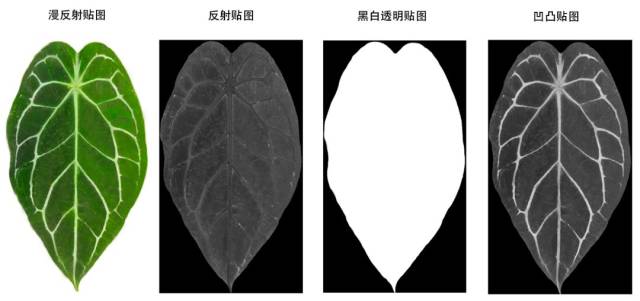 要是你获取的树叶贴图素材自带反射及凹凸贴图,那就更方便了,直接将