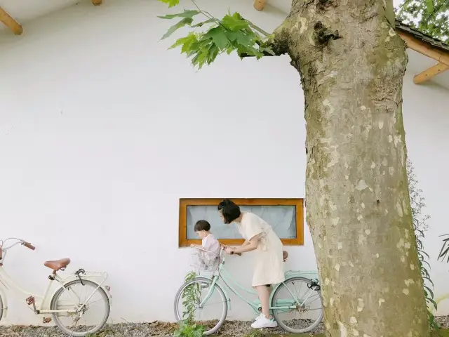白墙黑瓦,青苔色的地面上满是深秋的落叶.