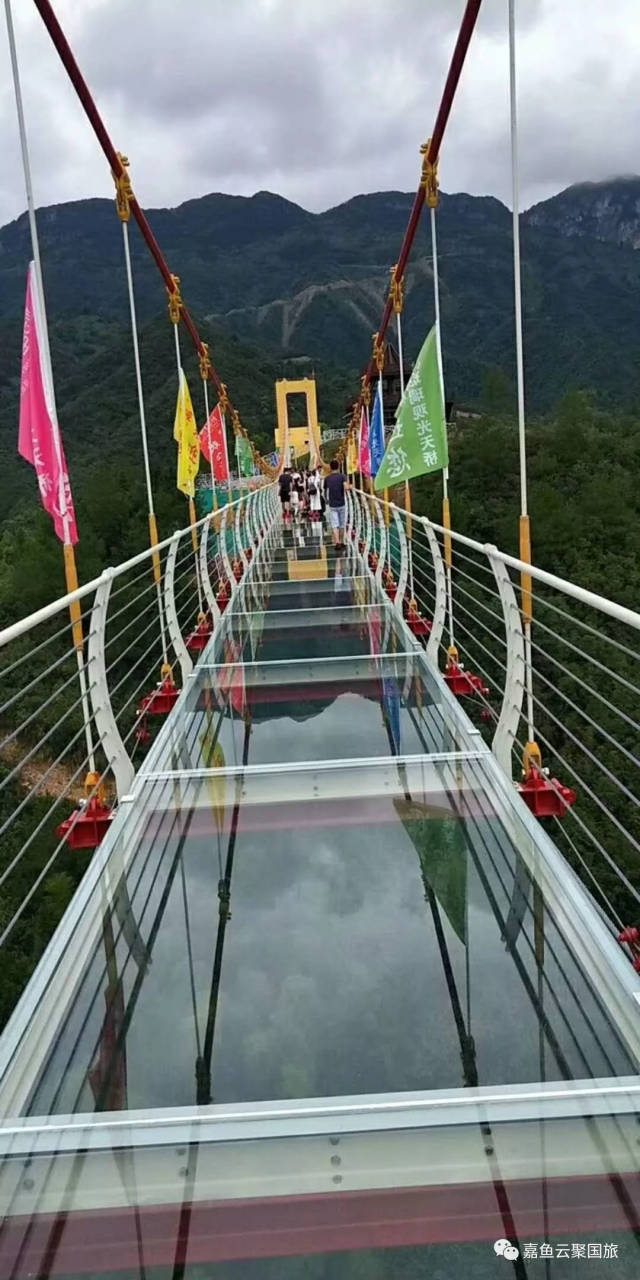 家门口的9d玻璃桥,崇阳柃蜜小镇精华一日游9月16日发班!