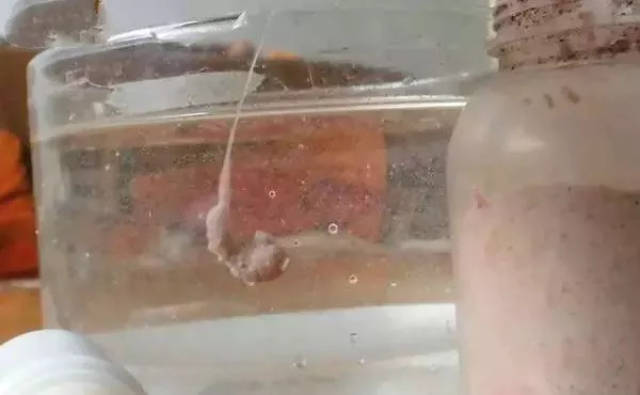 老钓手经验分享:钓鱼饵料及窝料的绝密配方