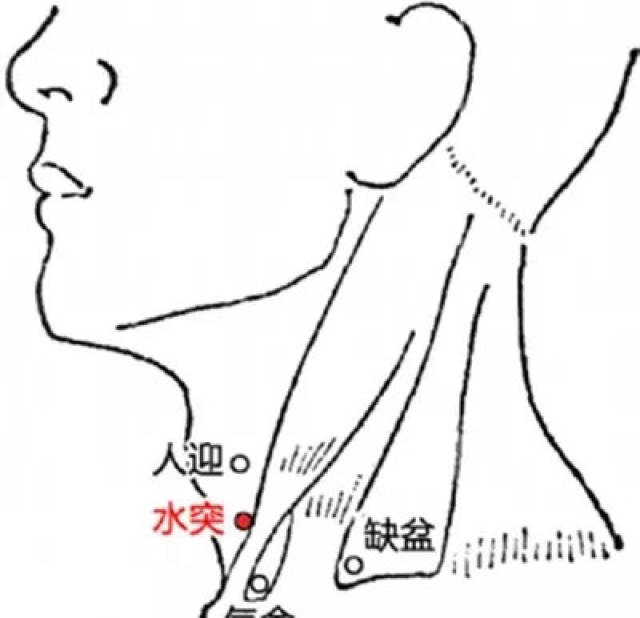 秋季,嗓子有痰,谨记"喝二水","按三穴",止咳化痰,更健康