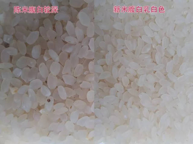 吃货解密:新米和旧米的差别原来这么大!
