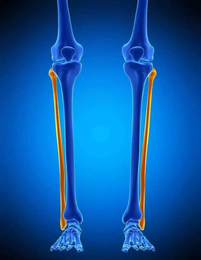 「运动康复」崴脚的胫腓关节正位(评估 手法)