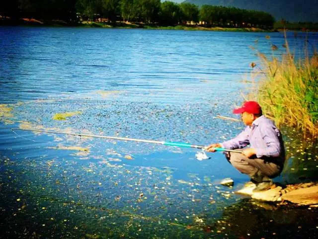 老钓手经验分享:钓鱼饵料及窝料的绝密配方