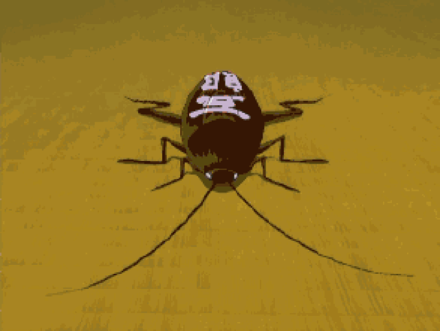 壁纸 昆虫 桌面 293_220 gif 动态图 动图