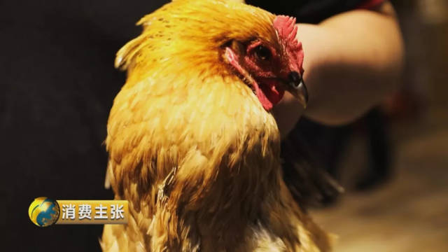 老幺鸡、酸菜鱼,“跳轻变私服传奇跳蛙爱上”系列怎么搭配都好吃!