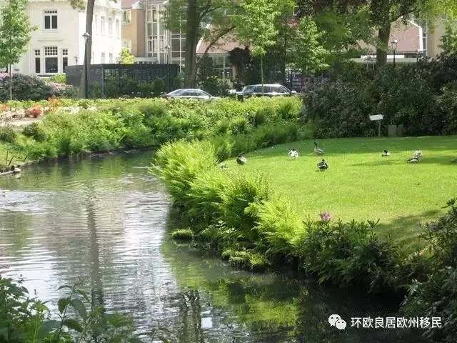 我在荷兰的真实生活--我眼中的荷兰人