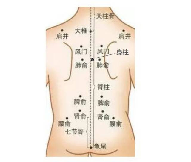 操作的方法是这样,发烧后隔天艾灸一次,4岁以下每个穴位灸3~5分钟,4