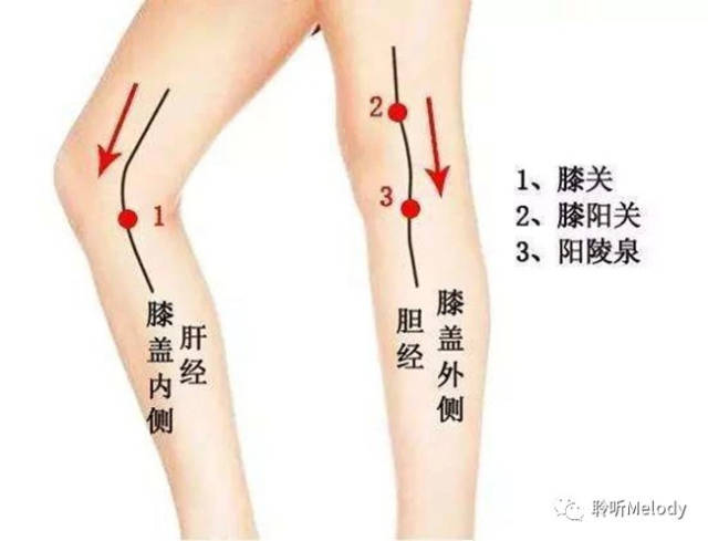 阳陵泉穴