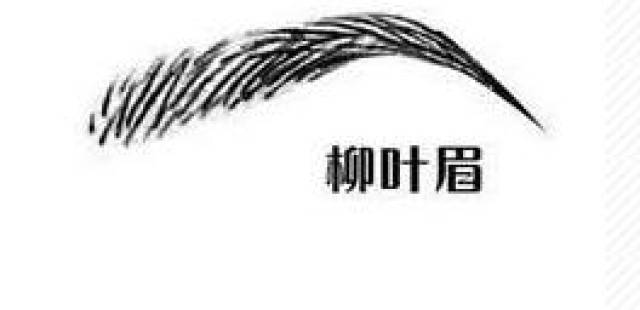 男女柳叶眉面相的命运好不好图片