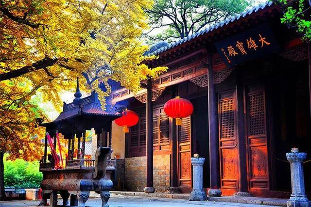随着气温下降 ,济南灵岩景区进入一年中最美的观景季,各种树木陆续