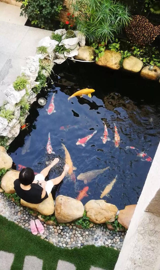 9个"花园鱼池"设计案例,网友直呼:就等有个园子来建鱼池了!