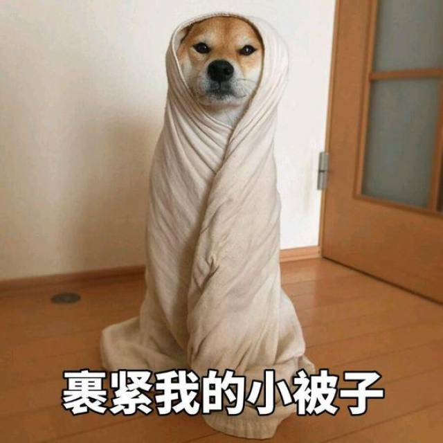 裹紧我的小被子