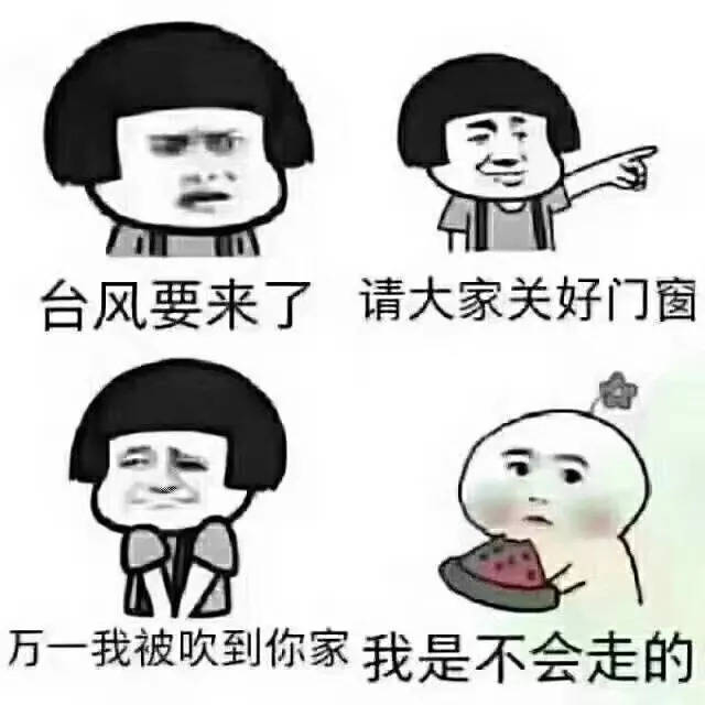 还有一点,太胖也不要出门 台风吹不走你 你就会很尴尬了 所以,周末