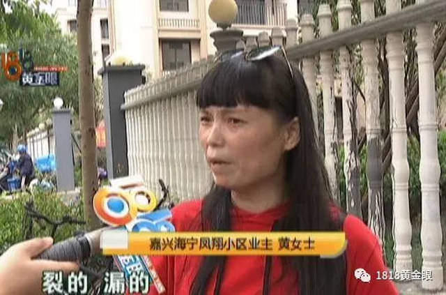 凤翔小区位于海宁海州街道双凤村,是个安置小区,大部分都是排屋.