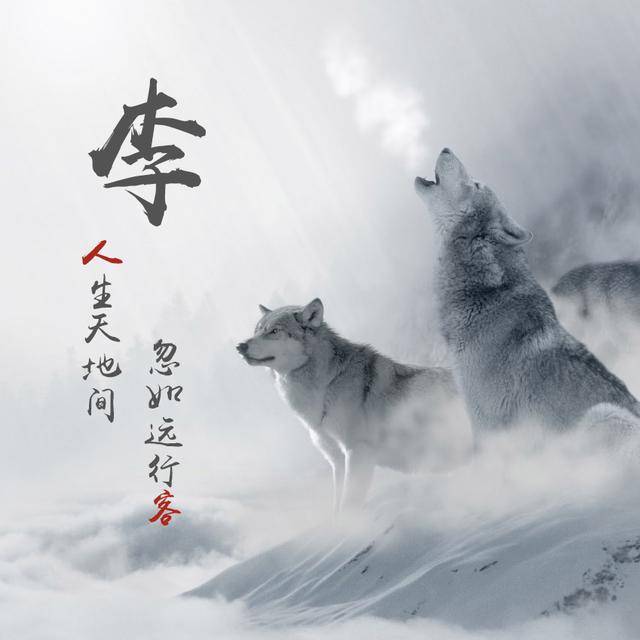 微信头像,姓名头像,狼图腾,上山虎,喜欢请带走