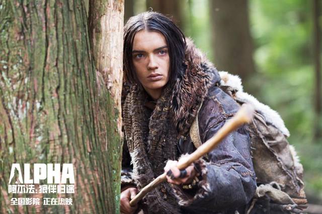 《阿尔法:狼伴归途》发父母爱片段 年度最佳