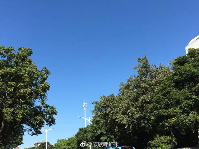 刚刚,厦门台风预警升级!景区景点关闭!11级大风+暴雨!