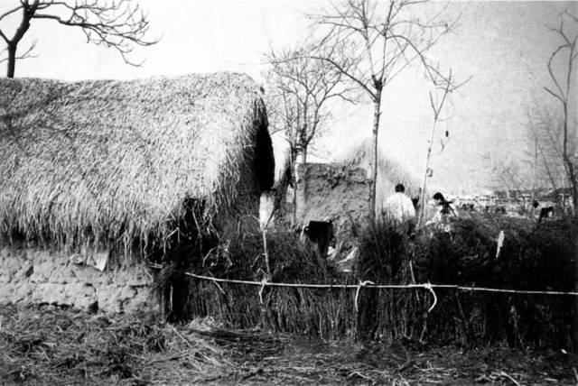 1978年,安徽省凤阳县小岗村农民居住的茅草屋.(资料图)