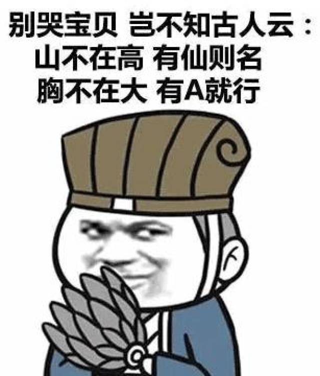 对a要不起怎么怼回去,吐槽女人平胸