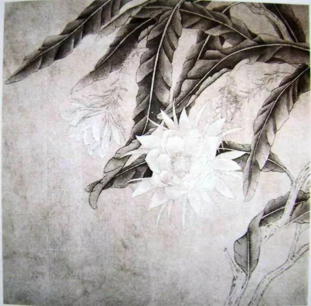 中国昙花系统手机工笔教程与芭蕉_花鸟搜狐网使用绘画w8教程图片
