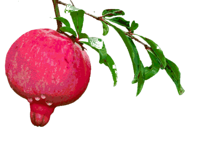 1宝,2宝,3宝,4宝,5宝,6宝,7宝,原来是这个意思,不看你就亏大了!