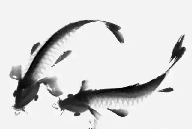 【国画知识】国画写意鲤鱼,金鱼的画法,一学就会!