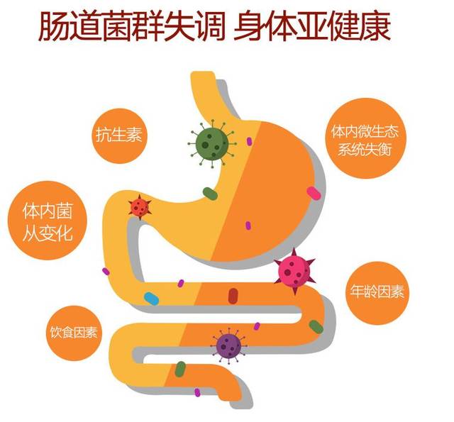 全家都能吃