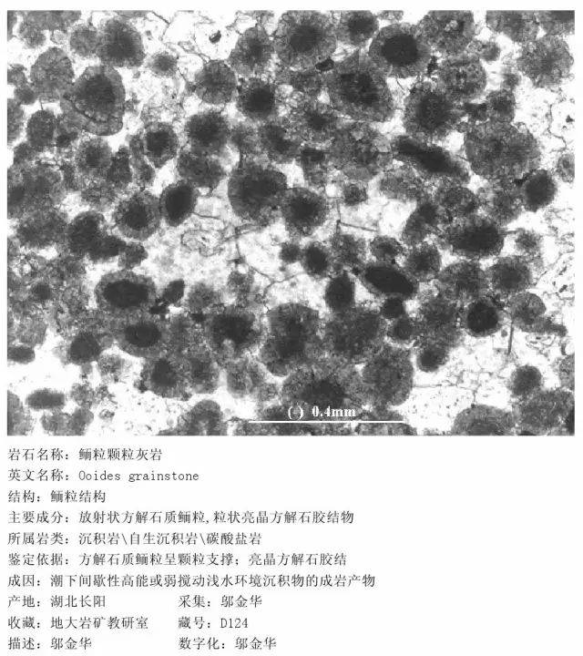 三大岩手标本和薄片对照合集!