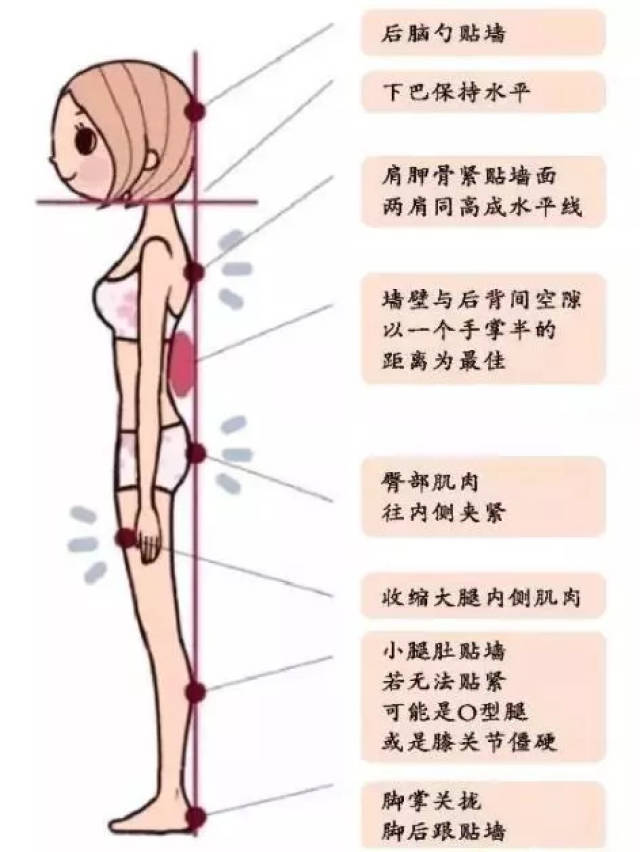 靠墙站:一种方法治一种病