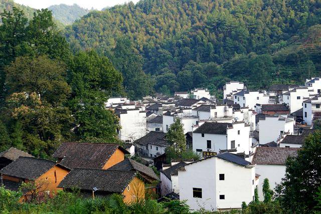 再过一个多月,这里千年银杏金黄遍地,漫山枫叶层岭尽染,村庄又该会有