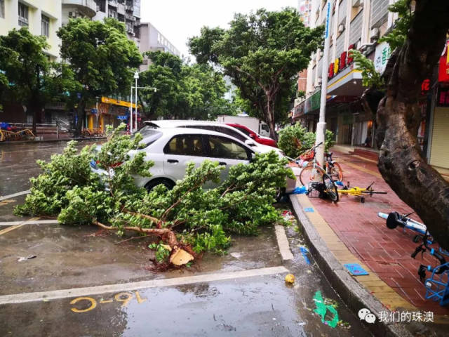直播山竹正面袭击广东