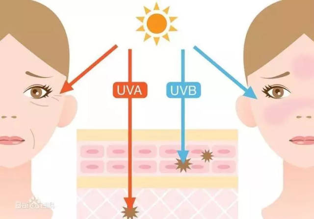 BBC揭露护肤品3大内幕!面霜竟然越贵越没用?