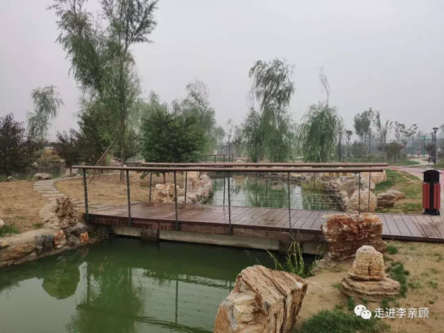 来源:走进李亲顾 河北严禁机动车限行"一刀切,还有