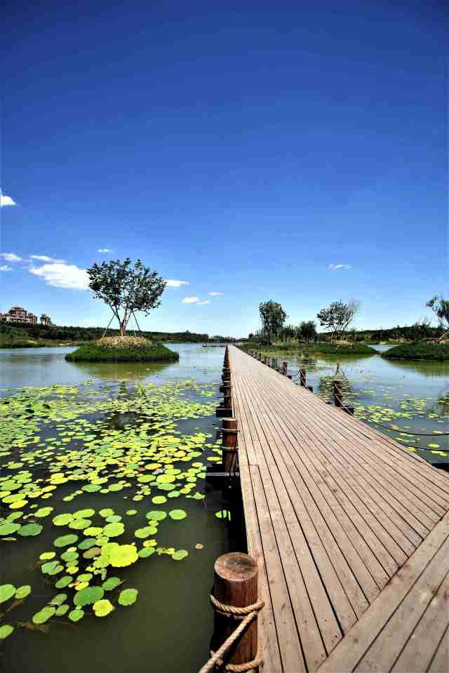 闲走北京之马家湾湿地公园-大美萧太后河重现(朝阳区)