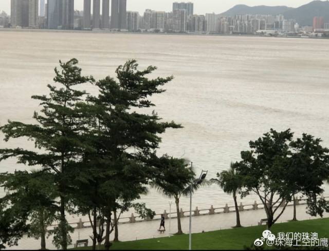 直播山竹正面袭击广东