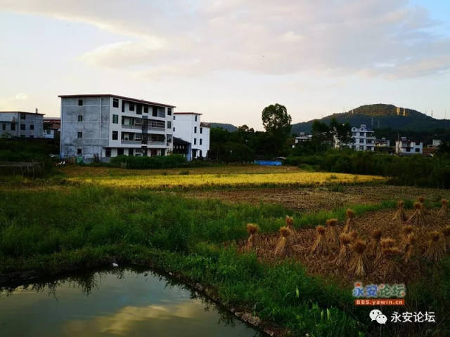 永安洛溪:永安第二水源地的周边秋色原来如此之美!
