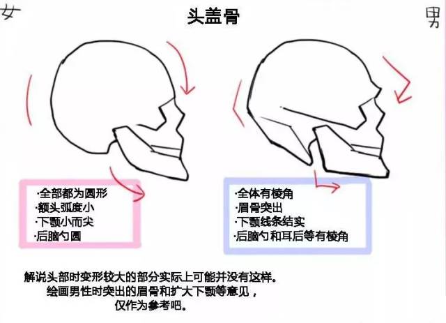 在肩部,女性的脖子会比男性的要细且光滑,男性的显著特征就是喉结