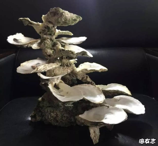 污妖王:说到造景,我是特别的爱折腾,从缸壁粘活石造景,水泥混合