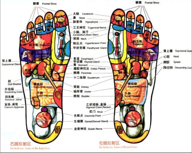 人体穴道,有空自己就捏捏吧