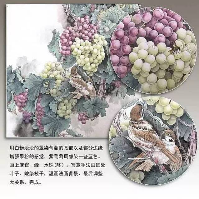 国画图文教程:工笔画葡萄水珠,染色步骤