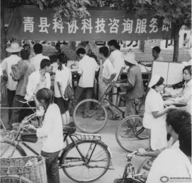 改革开放初期青县的自由市场. 1979年.