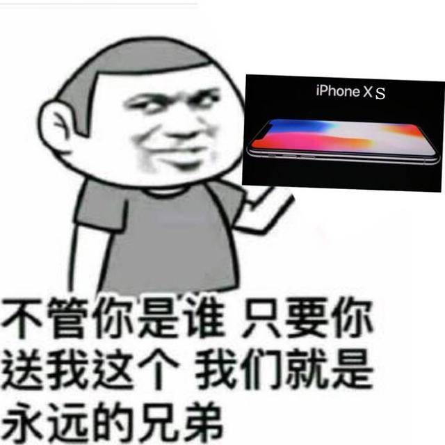 iphonexs和iphonexsmax搞笑表情包图片20张