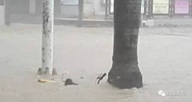 【珠海】刚刚,台风山竹登陆!海水倒灌,部分街