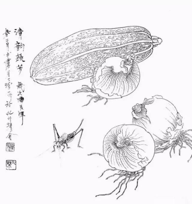 白描果蔬,很实用的白描绘画!赞一个!