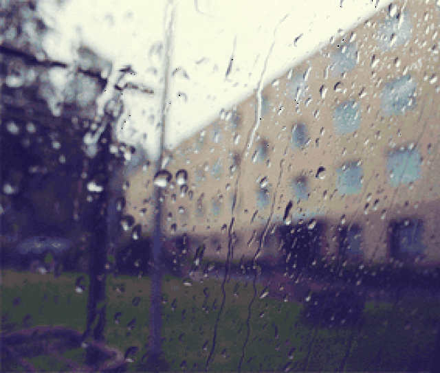 临沂中到大雨局部暴雨!_手机搜狐网